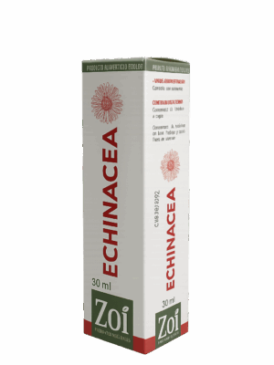 🛡️ Echinacea Zoi – 30 ml