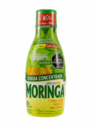 🧃 Bebida Concentrada de Moringa sabor Lulo – Natural Freshly  (500 ml)