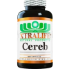 🌿 Cereb – XtraLife Natural Products  (60 Capsulas)