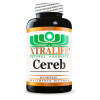 🌿 Cereb – XtraLife Natural Products  (60 Capsulas)