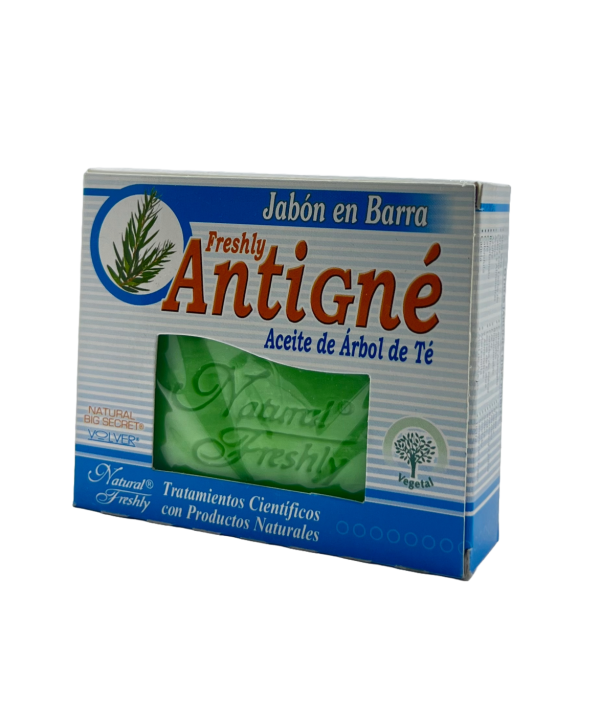 🌿 Jabón Antigné con Árbol de Té | Natural Freshly – 90 g