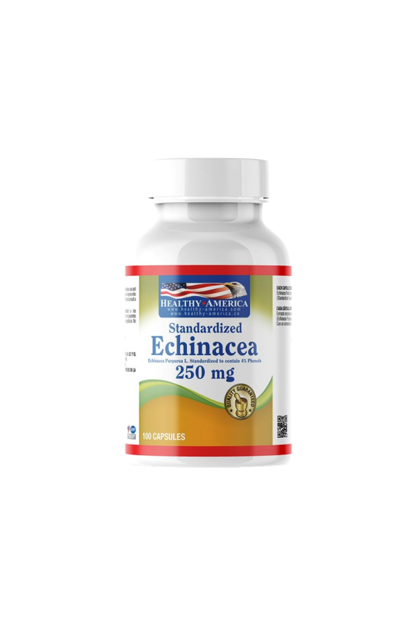 🌿 Standardized Echinacea 250 mg – Healthy America (100 cápsulas)