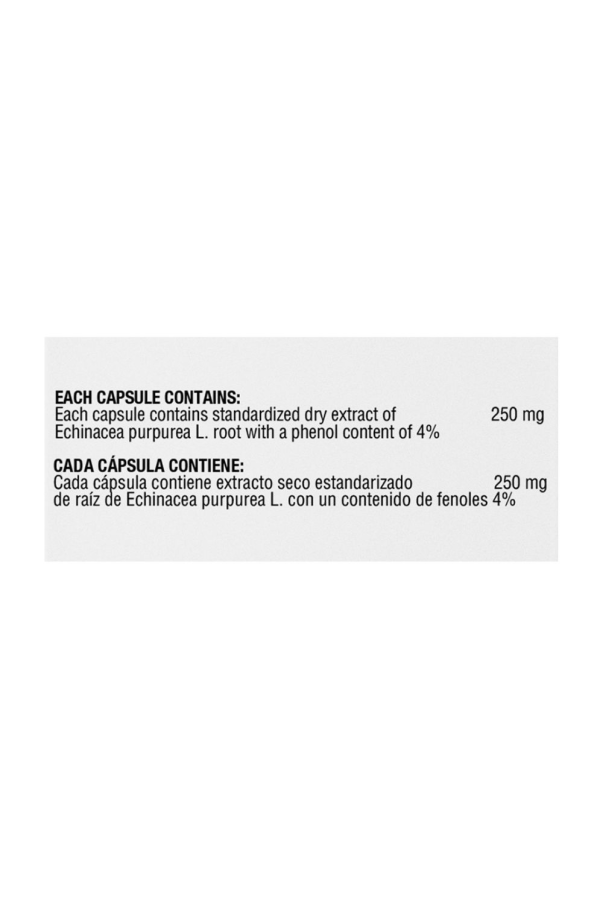 🌿 Standardized Echinacea 250 mg – Healthy America (100 cápsulas)