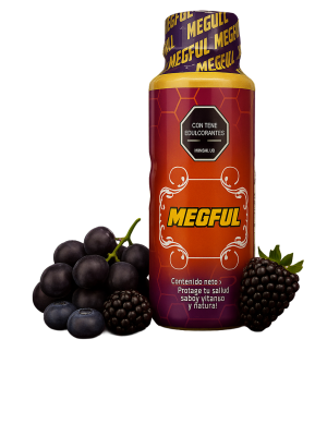 MEGFULL – Tu aliado en energía, desempeño y vitalidad (500ml)